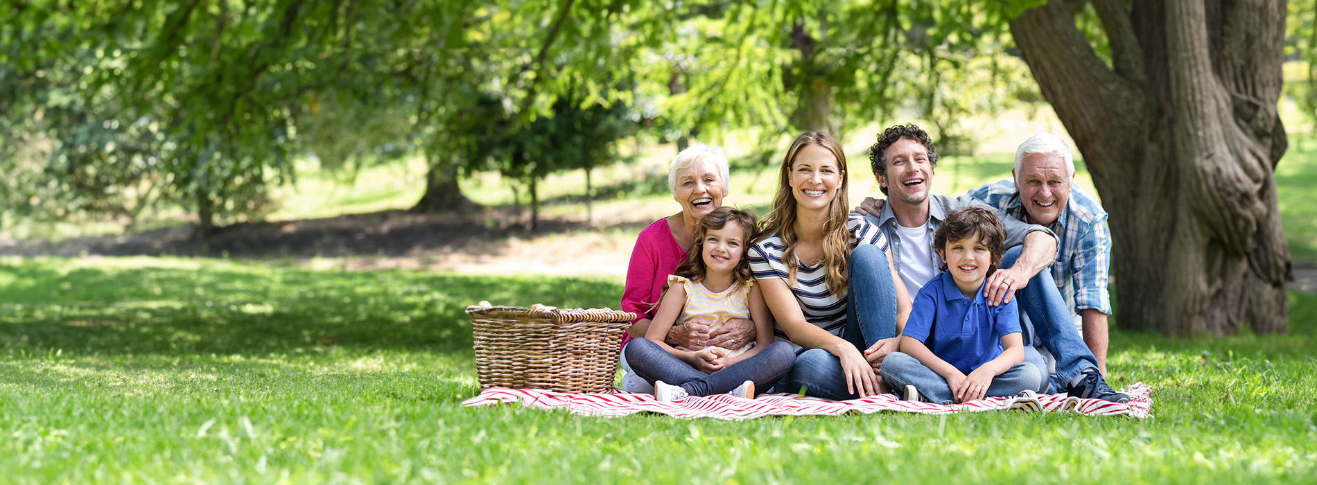 Cape Cod Dental | Full Mouth Reconstruction, Oral Exams and Pediatric Dentistry